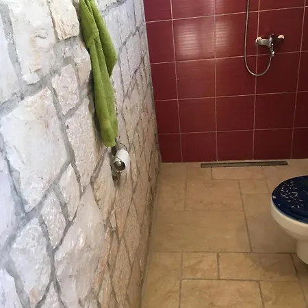 Stonehouse Frida * Τρογκίρ