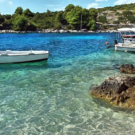 Stonehouse Frida Τρογκίρ